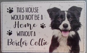 00063 Without Border Collie Magnet 300 x 185