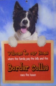 00223 Border Collie welcome Red 3D Hang up 196 x 300