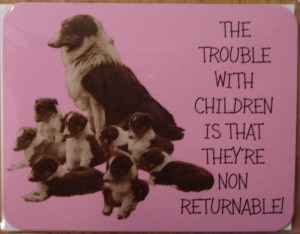 00392 The Trouble With Kids Magnet 300 x 234 