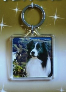 00764 Collie View Keyring 217 x 300