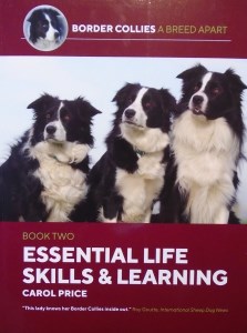 09015 Essential Life Skills Book original 223 x 300