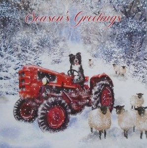 15130 Sheps Tractor Xmas Cards 298 x 300