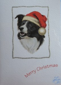 16004 Collie Christmas Card 215 x 300