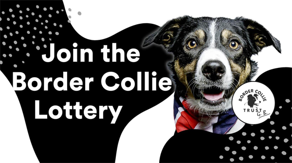 Border Collie Trust Mobile Lottery